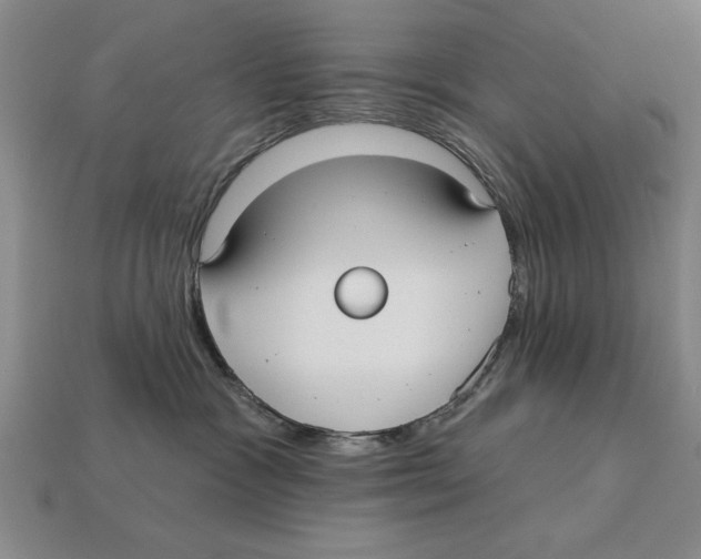 X0000113020333200909241640