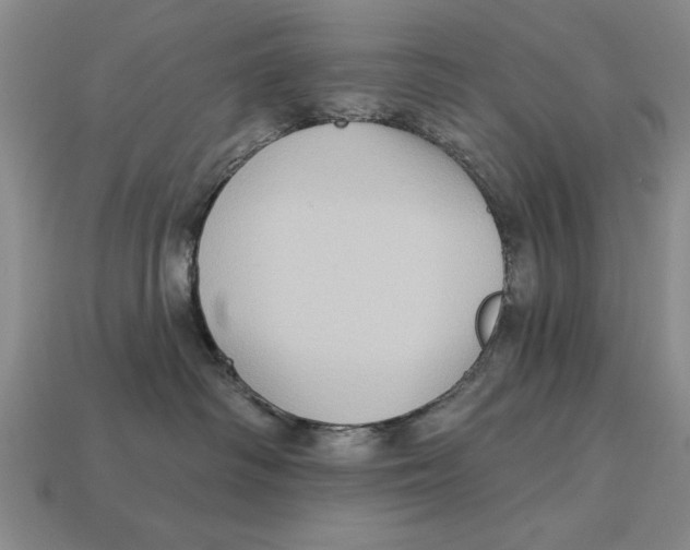 X0000113020334200909241640