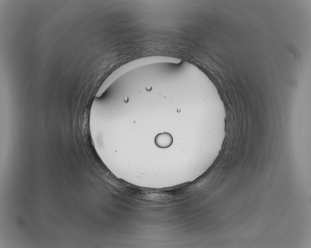 X0000113020336200909241640