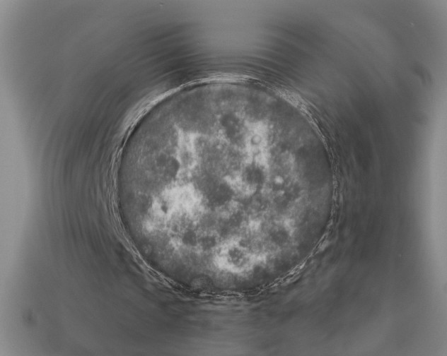 X0000113020337200909241639