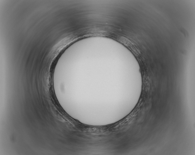 X0000113020338200909241639