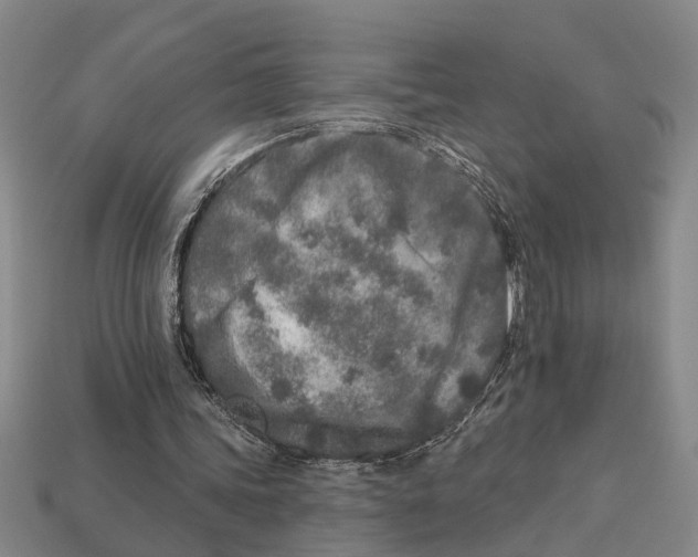 X0000113020339200909241639