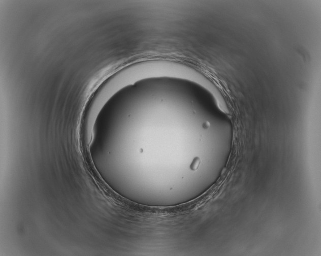 X0000113020340200909241639