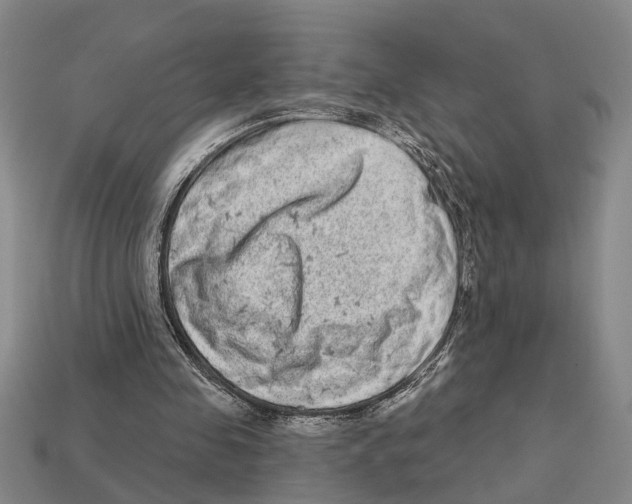 X0000113020341200909241639