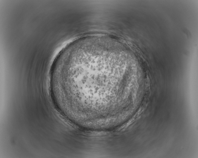 X0000113020342200909241639