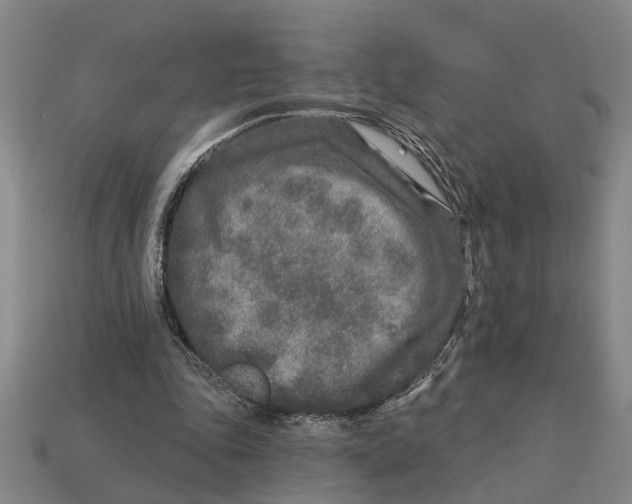 X0000113020343200909241639