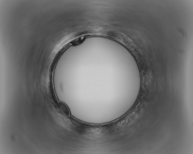 X0000113020344200909241639