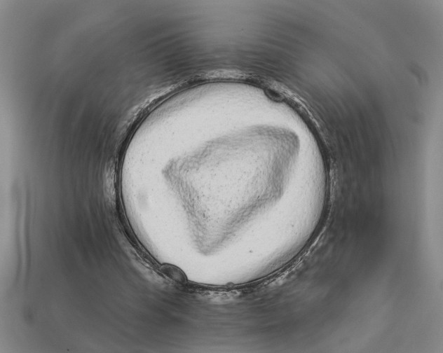 X0000113020345200909241639