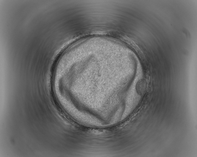 X0000113020346200909241639