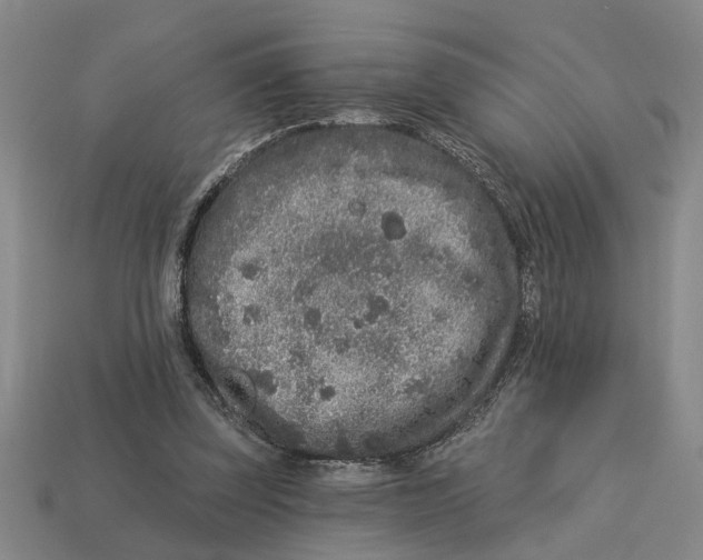 X0000113020347200909241639