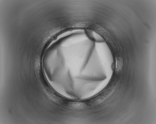 X0000113020348200909241639