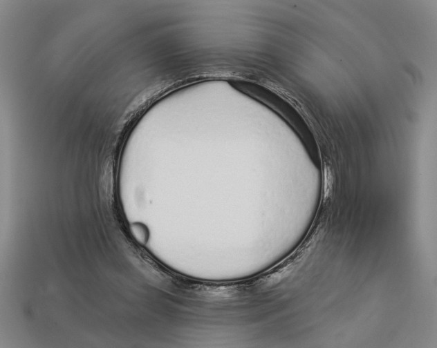 X0000113020349200909241639