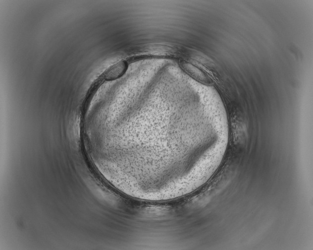 X0000113020350200909241639