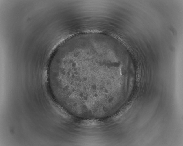 X0000113020351200909241639