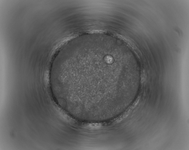 X0000113020353200909241639