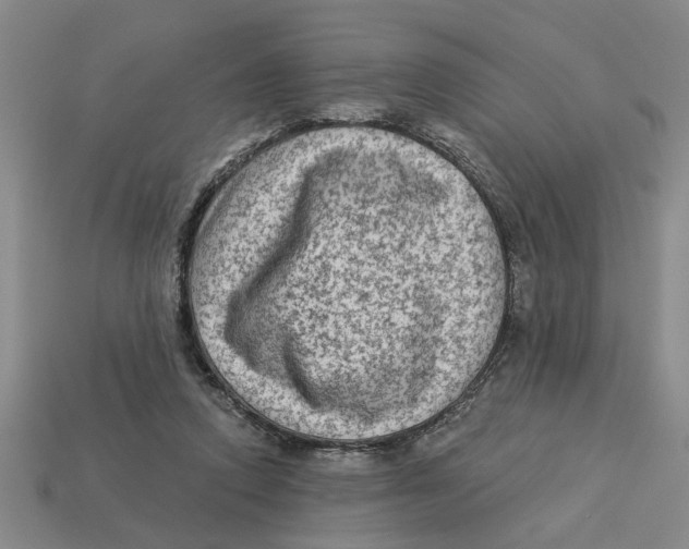 X0000113020354200909241640