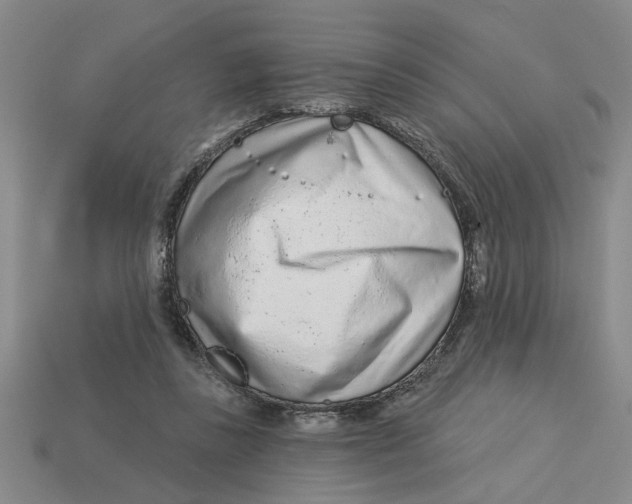 X0000113020355200909241640