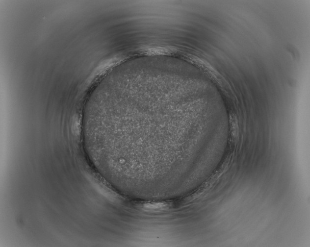 X0000113020357200909241640