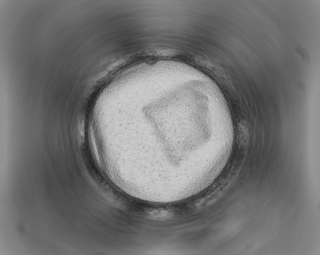 X0000113020358200909241640