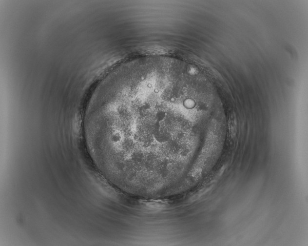 X0000113020359200909241640