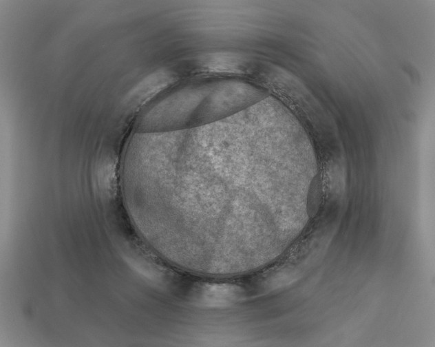 X0000113020360200909241640