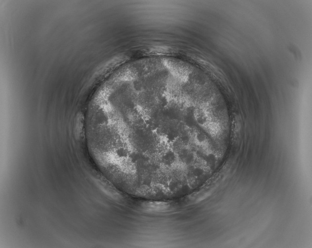 X0000113020361200909241640