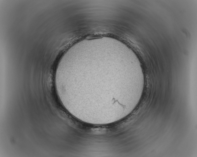 X0000113020362200909241640