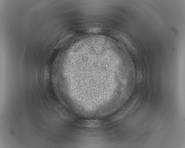 X0000113020363200909241640