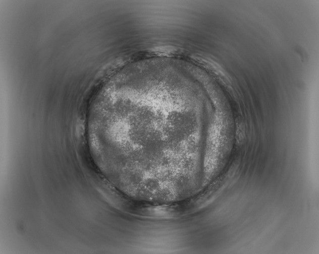 X0000113020365200909241640