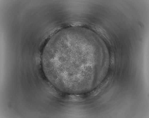 X0000113020367200909241640