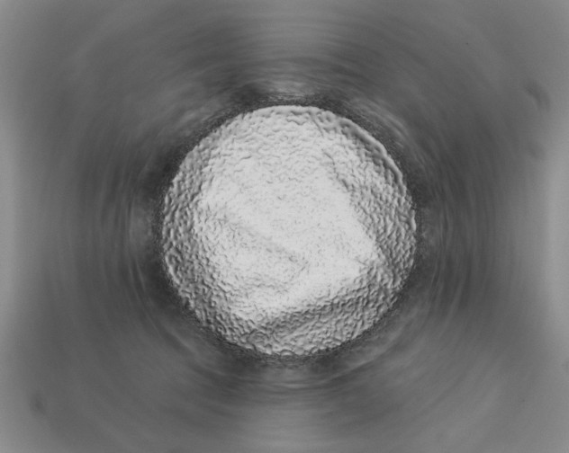 X0000113020369200909241640