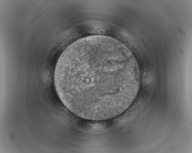 X0000113020370200909241640