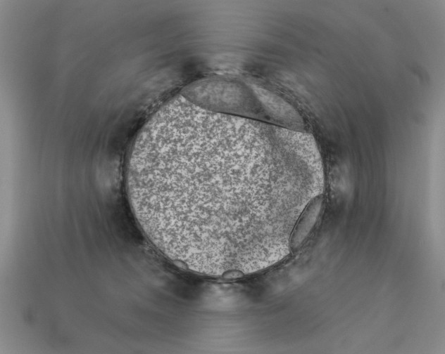 X0000113020372200909241640