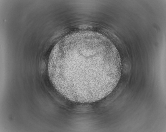 X0000113020375200909241640