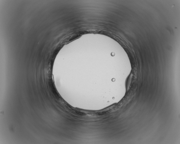 X0000113020376200909241640