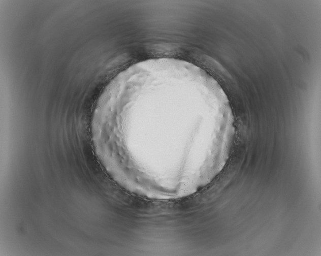 X0000113020377200909241640