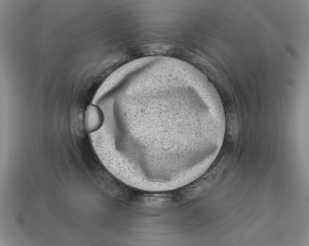 X0000113020378200909241640