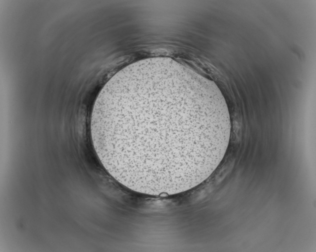 X0000113020379200909241640