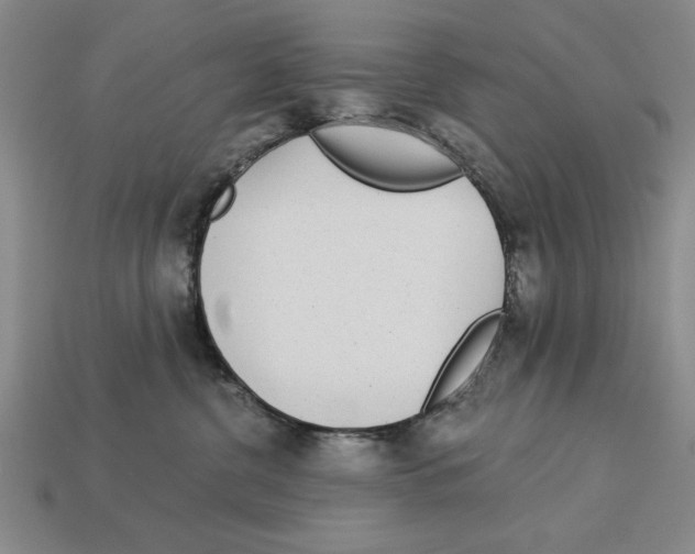 X0000113020380200909241640