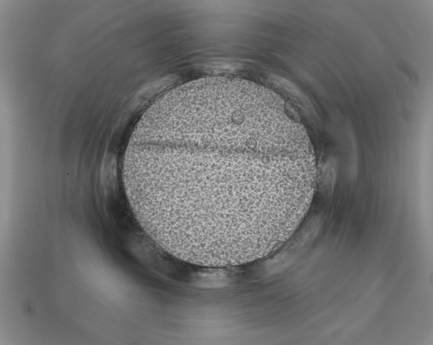 X0000113020381200909241640