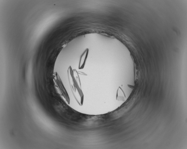 X0000113020382200909241640