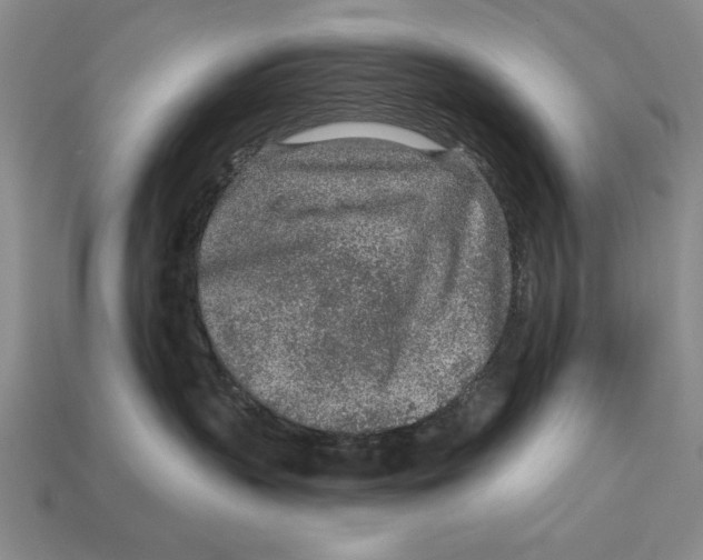 X0000113020383200909241640