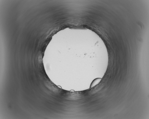 X0000113020384200909241640