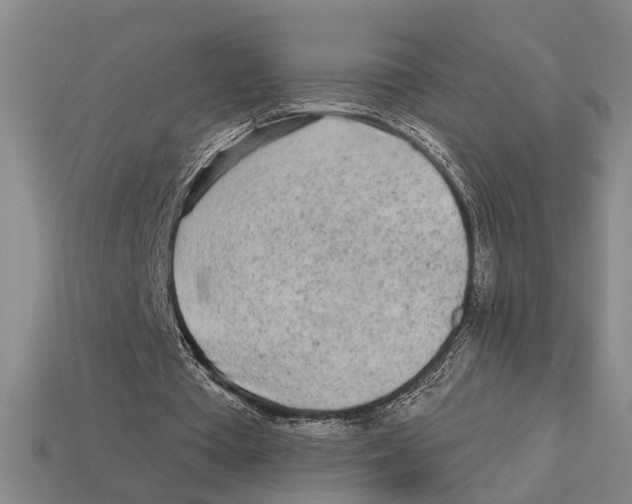 X0000113020385200909241639