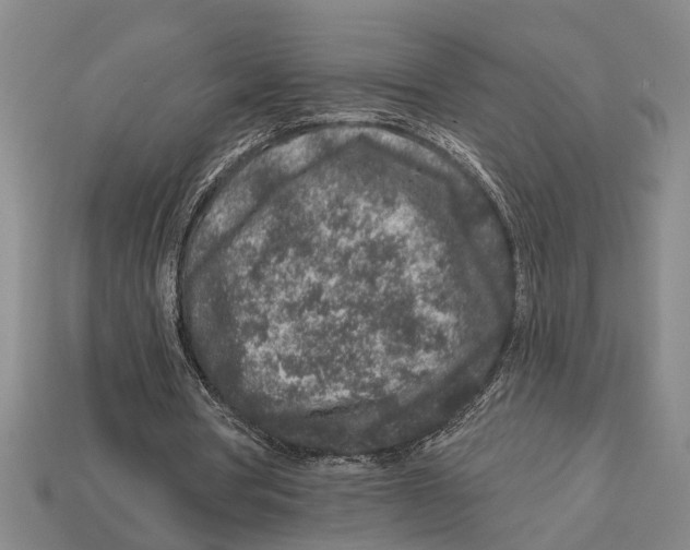 X0000113020386200909241639