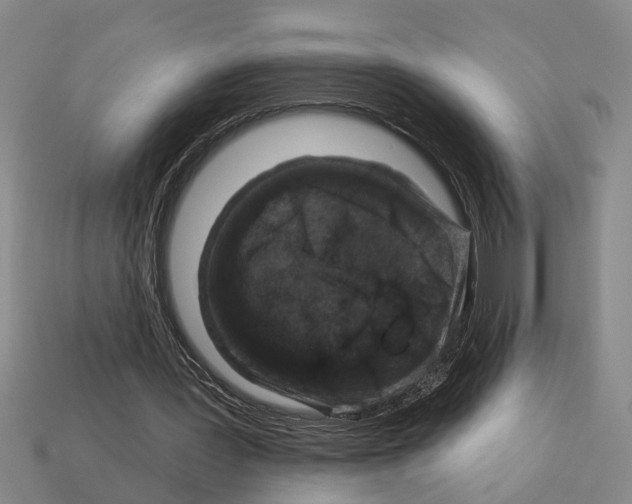 X0000113020387200909241639