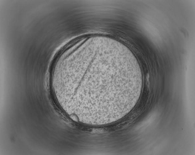 X0000113020388200909241639