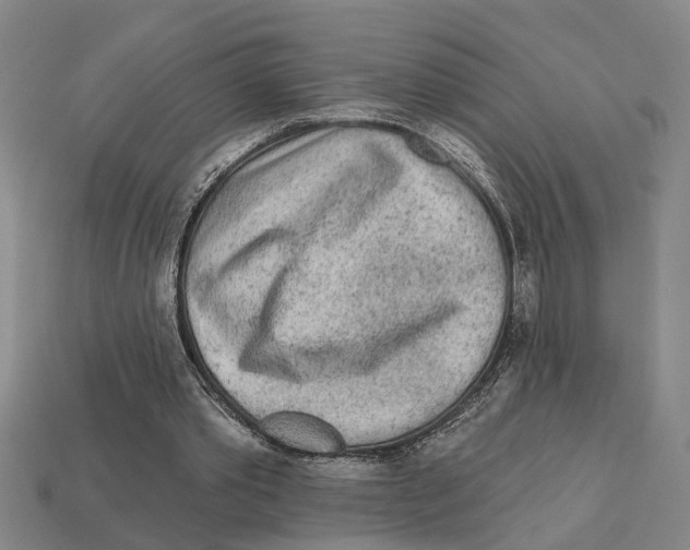 X0000113020389200909241639