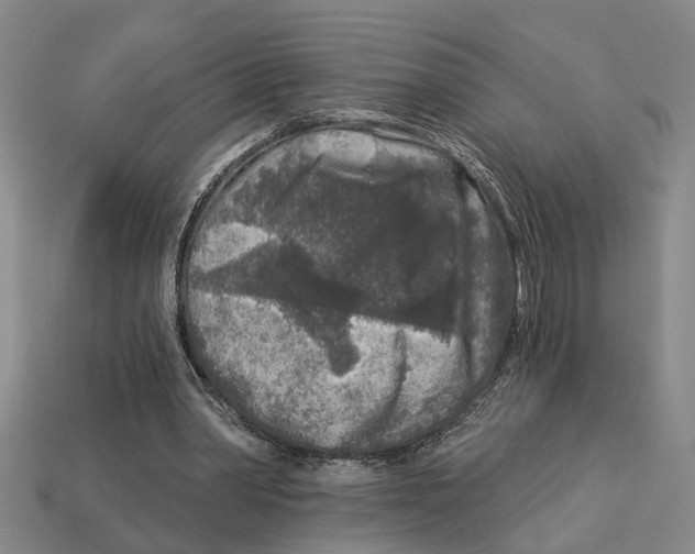 X0000113020390200909241639