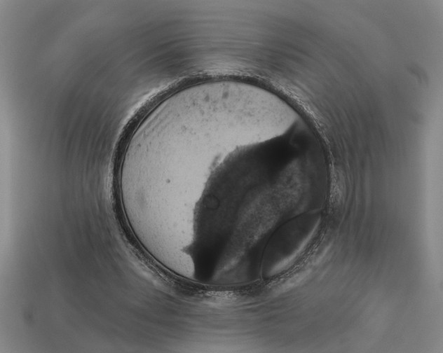 X0000113020391200909241639